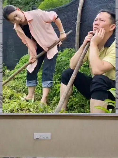 娱乐八卦是吃瓜群众,吃瓜群众带你领略八卦风云