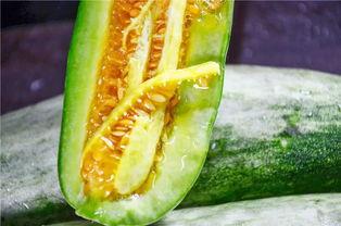 所有吃瓜网红是谁啊,盘点那些年我们一起吃瓜的网红们 第3张 所有吃瓜网红是谁啊,盘点那些年我们一起吃瓜的网红们 第3张